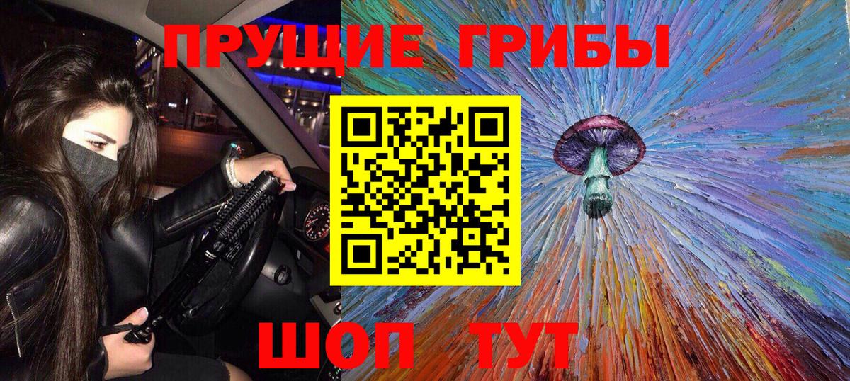 купить наркотик  Вход с VPN  Котлас  Псилоцибиновые грибы MAGIC MUSHROOMS  Псилоцибиновые грибы Cubensis 